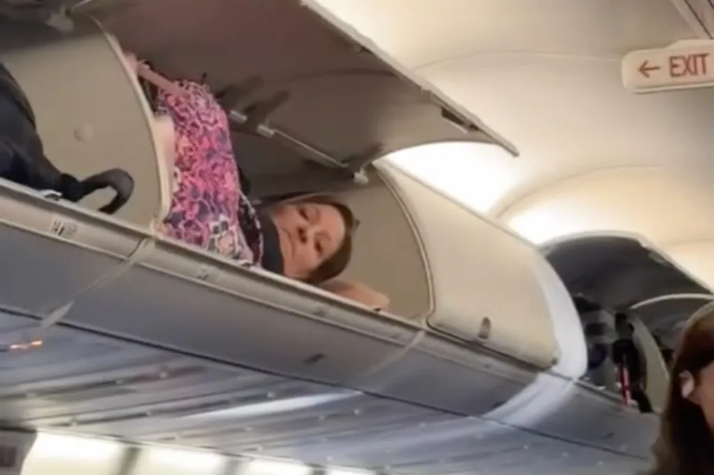 Viral Video Captures Passenger Napping in Plane’s Overhead Bin